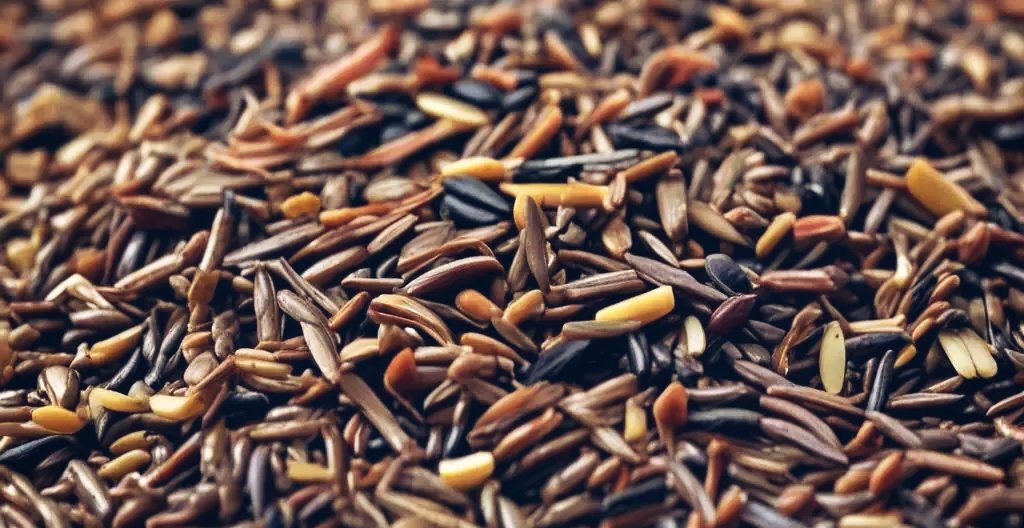 Wild rice 